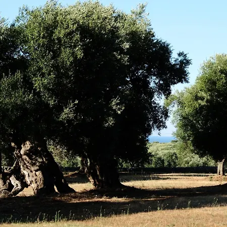 Dimora Il Calaprico By Wonderful Italy Сasa de vacaciones Ostuni